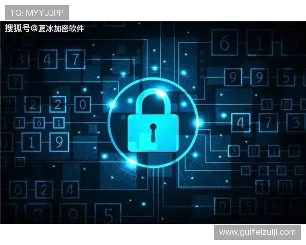 空间壹号app下载官网安全下载入口,保障用户隐私与数据安全 空间壹号app下载官网安全下载入口,保障用户隐私与数据安全